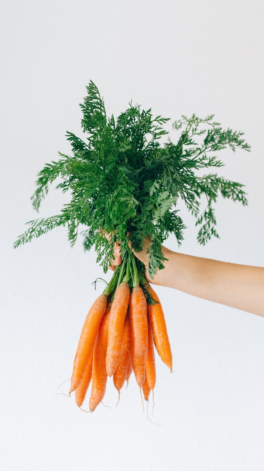 5_vegetables_you_should_never_peel