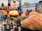 This record was set at 50th World Championship Pumpkin Weigh-Off. 