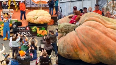 This record was set at 50th World Championship Pumpkin Weigh-Off. (Instagram/@Guinness World Records) This record was set at 50th World Championship Pumpkin Weigh-Off. (Instagram/@Guinness World Records)