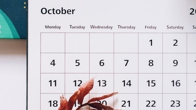 Read your Weekly Oracle Guidance for Aries to Pisces from October 13 to 19, 2023. (Pexels)