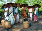 International Day of Rural Women 2023: Date, history, significance 