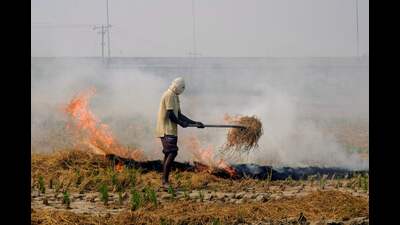 A farmer burns stubble after a harvest on the outskirts of Amritsar on Saturday. (AFP)
