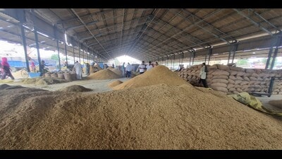 The Union government refused to bring down the minimum export price of aromatic long-grained basmati rice to US $ 850 per tonne from $1,200. (HT Photo)