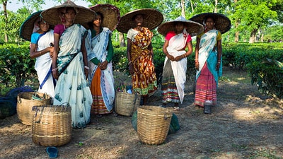 International Day of Rural Women 2023: Date, history, significance (istockphoto) International Day of Rural Women 2023: Date, history, significance (istockphoto)