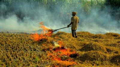 A farmer burns stubble after harvesting paddy crop at a village near Patiala on October 13. (PTI) A farmer burns stubble after harvesting paddy crop at a village near Patiala on October 13. (PTI)