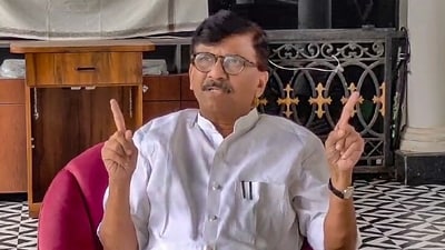 Shiv Sena (Uddhav Balasaheb Thackeray) MP Sanjay Raut (ANI) Shiv Sena (Uddhav Balasaheb Thackeray) MP Sanjay Raut (ANI)