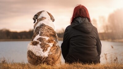A stolen dog and its owner were reunited following a 40-mile police chase with two suspects in Colorado (Pixabay - representational image)