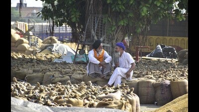 Farmers sit on sacks of paddy rice at Bhagtanwala Grain Market in Amritsar. (Sameer Sehgal/HT)