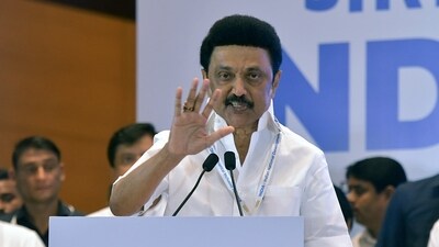 Tamil Nadu Chief Minister MK Stalin. (ANI)