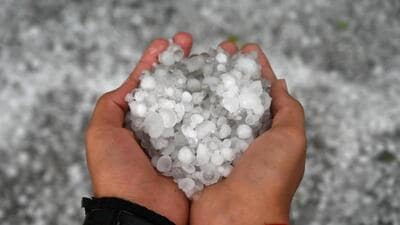 Residents said the hailstorm damaged the apple fruit which was ready for harvesting. (HT File Photo) Residents said the hailstorm damaged the apple fruit which was ready for harvesting. (HT File Photo)