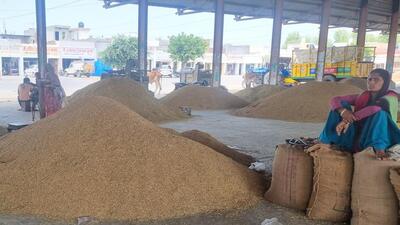 Since there was no procurement in the mandis of Haryana on Sunday, there were reports that the rice traders received a positive note from the government that their demand to bring the MEP to US $850 ( ₹70,788) was under active consideration. (HT Photo) Since there was no procurement in the mandis of Haryana on Sunday, there were reports that the rice traders received a positive note from the government that their demand to bring the MEP to US $850 ( ₹70,788) was under active consideration. (HT Photo)