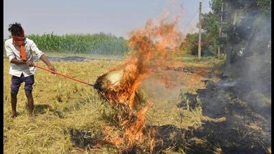 The development has come as a setback to the officials deputed to check farm fires in Haryana. (HT File Photo)