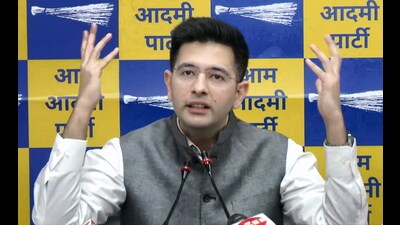 AAP MP Raghav Chadha moved the top court on October 10 and complained that due to his indefinite suspension, he was unable to take part in the various committees of which he is a member. (HT Archive)