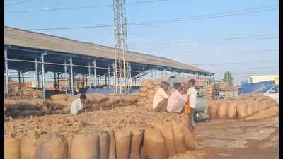 Due to the rain, farmers have to suspend harvesting operations. Simultaneously, procurement and lifting operations were affected in the mandis in Haryana. (HT Photo) Due to the rain, farmers have to suspend harvesting operations. Simultaneously, procurement and lifting operations were affected in the mandis in Haryana. (HT Photo)
