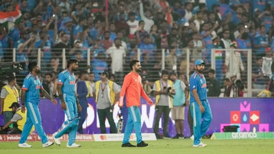 India are unbeaten at the ongoing 2023 World Cup. (PTI) India are unbeaten at the ongoing 2023 World Cup. (PTI)