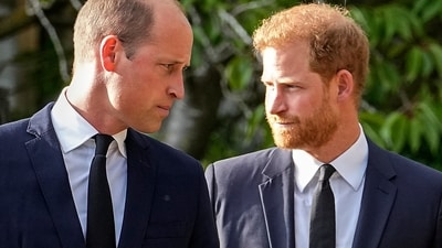 Royal Family: Prince William and Prince Harry are seen. (AFP) Royal Family: Prince William and Prince Harry are seen. (AFP)