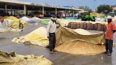 Procurement at a standstill as workers cover a heap of paddy at the grain market in Bathinda after rain on Monday morning. (Sanjeev Kumar/HT) Procurement at a standstill as workers cover a heap of paddy at the grain market in Bathinda after rain on Monday morning. (Sanjeev Kumar/HT)