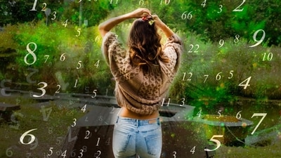 Read your free weekly numerology predictions on hindustantimes.com. Find out what the planets have predicted for these numbers from 16th to 22nd October, 2023