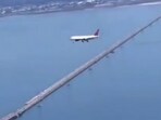 Froze plane stumps travelers Froze plane stumps travelers