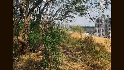 A research proposal has been included in the 10-year working plan, which has been submitted to both state and central authorities. (HT PHOTO) A research proposal has been included in the 10-year working plan, which has been submitted to both state and central authorities. (HT PHOTO)