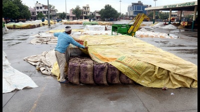 Labourers at the grain market in Bathinda. (HT File) Labourers at the grain market in Bathinda. (HT File)