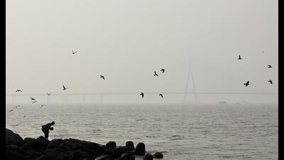 MOn Tuesday, even as the overall air quality level in the city was in the ‘moderate’ levels, several areas – Chakala, Mazgaon BKC, Malad West, Sion, and Deonar – had their AQI in the ‘poor’ and ‘very poor’ levels (Anshuman Poyrekar/ HT PHOTO) MOn Tuesday, even as the overall air quality level in the city was in the ‘moderate’ levels, several areas – Chakala, Mazgaon BKC, Malad West, Sion, and Deonar – had their AQI in the ‘poor’ and ‘very poor’ levels (Anshuman Poyrekar/ HT PHOTO)