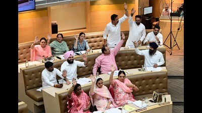 Municipal Councillor’s during the monthly house meeting at MC office at Sector 17 in Chandigarh on Tuesday. Photo by Ravi Kumar/Hindustan Times (HT Photo) Municipal Councillor’s during the monthly house meeting at MC office at Sector 17 in Chandigarh on Tuesday. Photo by Ravi Kumar/Hindustan Times (HT Photo)
