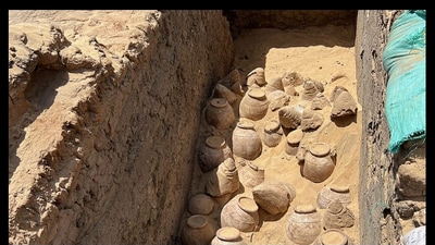 Snapshot of the wine barrels from 5,000-years-ago. (University of Vienna) Snapshot of the wine barrels from 5,000-years-ago. (University of Vienna)