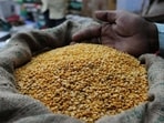 Wheat production during the year stood at 110.5 million tonnes, higher by 4.7% than last year’s output of 105.7 million tonne, according to data from the farm ministry.