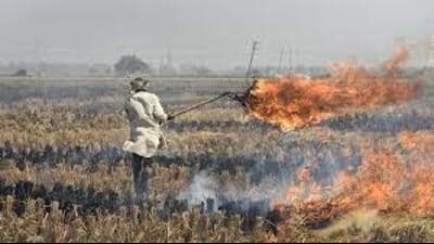 Rajesh Sihag, Fatehabad district deputy director (agriculture), said some farmers used to burn the crop residue or stubble after the harvest of paddy crops to clear the fields to sow new crops. (HT File Photo) Rajesh Sihag, Fatehabad district deputy director (agriculture), said some farmers used to burn the crop residue or stubble after the harvest of paddy crops to clear the fields to sow new crops. (HT File Photo)