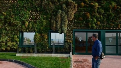 1. Living Walls and Vertical Gardens: In an interview with HT Lifestyle, Yashna Garg, Interior Designer and CMO at Zeon Lifesciences, shared, “Think walls covered in plants – it's like having your own little jungle indoors. Not only do they look awesome, but they also clean up the air and help everyone chill out.” (AFP Photo) 1. Living Walls and Vertical Gardens: In an interview with HT Lifestyle, Yashna Garg, Interior Designer and CMO at Zeon Lifesciences, shared, “Think walls covered in plants – it's like having your own little jungle indoors. Not only do they look awesome, but they also clean up the air and help everyone chill out.” (AFP Photo)