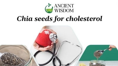 Chia seeds is quite popular among weight loss enthusiasts and not without a reason. Chia seeds is quite popular among weight loss enthusiasts and not without a reason.