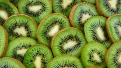 Kiwis: They are loaded with vitamins, minerals and potassium. For the health-conscious ones, kiwis are the best choice as they are relatively low in calories and maintain your electrolyte balance during fasting. (Pexels) Kiwis: They are loaded with vitamins, minerals and potassium. For the health-conscious ones, kiwis are the best choice as they are relatively low in calories and maintain your electrolyte balance during fasting. (Pexels)