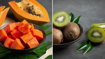 "As the festive season is about to begin in full swing, so is the fasting season. Observing fasts is a widely practised aspect of Navratri and other festivals because of its cultural significance. So naturally your diet becomes a concern when it comes to having limited meal options to keep you full and energetic throughout the day. But a healthy consumption of fruits ensures that your body stays hydrated and well nourished. Here are the best fruits that can be your nutritious fasting partner this year," says Sunny Khattar, Founder, Farmio. (Freepik) "As the festive season is about to begin in full swing, so is the fasting season. Observing fasts is a widely practised aspect of Navratri and other festivals because of its cultural significance. So naturally your diet becomes a concern when it comes to having limited meal options to keep you full and energetic throughout the day. But a healthy consumption of fruits ensures that your body stays hydrated and well nourished. Here are the best fruits that can be your nutritious fasting partner this year," says Sunny Khattar, Founder, Farmio. (Freepik)