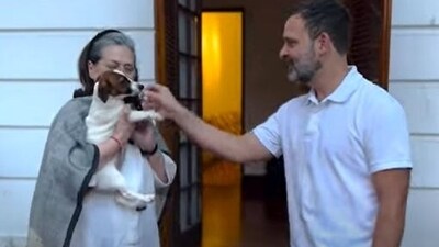 Rahul Gandhi now has a new dog, Noorie, whom he adopted for his mother Sonia Gandhi from a family in Goa.