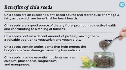 Chia seeds are an excellent plant-based source and storehouse of omega-3 fatty acids which are beneficial for heart health. Chia seeds are an excellent plant-based source and storehouse of omega-3 fatty acids which are beneficial for heart health.