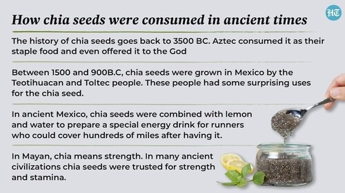 In ancient times, it was believed that chia seeds provided supernatural powers. In ancient times, it was believed that chia seeds provided supernatural powers.