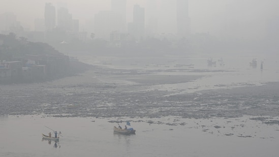 Meanwhile, the overall air quality in Mumbai on Wednesday morning was recorded in the 'moderate' category, with the AQI at 113.&nbsp;(PTI)