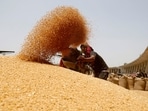 A worker sifts wheat before filling in sacks. 