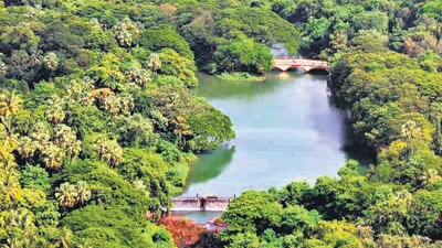MMRDA gets nod for twin tunnels under SGNP; 122 trees to be felled for CM Shinde’s pet project MMRDA gets nod for twin tunnels under SGNP; 122 trees to be felled for CM Shinde’s pet project