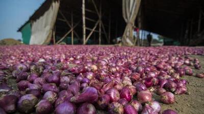 Onion traders in 15 APMCs of Nashik district had called a strike since September 20. (HT FILE PHOTO)