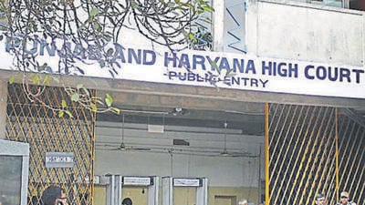 Punjab and Haryana High Court building in Chandigarh (HT File) Punjab and Haryana High Court building in Chandigarh (HT File)