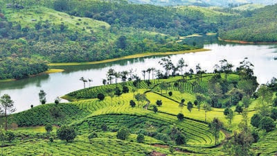 The action of the STF comes on the heels of a directive of the Kerala high court in September to clear all illegal encroachments in Munnar excluding those who were eligible to title deeds. (HT Photo) The action of the STF comes on the heels of a directive of the Kerala high court in September to clear all illegal encroachments in Munnar excluding those who were eligible to title deeds. (HT Photo)