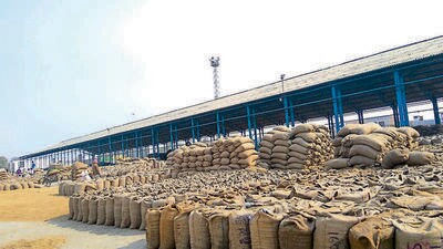 The central government is actively reviewing the minimum export price for basmati, says Union food secretary Sanjeev Chopra. (HT Archive) The central government is actively reviewing the minimum export price for basmati, says Union food secretary Sanjeev Chopra. (HT Archive)