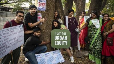 The petitioner had challenged this and demanded not to allow Pune municipal commissioner Vikram Kumar to take any decision on allowing tree cuttings for the riverfront project. (Representative Photo)