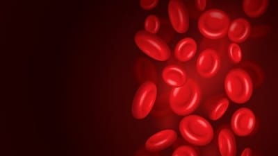 In an interview with Zarafshan Shiraz of HT Lifestyle, Himalayan Siddhaa Akshar, Founder of Akshar Yoga Kendraa, shared, “Low platelet counts, known as thrombocytopenia, can result from various factors such as autoimmune disorders, infections, or medications. Platelets are essential for blood clotting, and a decrease in their count can lead to increased bleeding risk. Yoga, with its emphasis on gentle movements, controlled breathing and mindfulness, can contribute positively to individuals dealing with this condition.” (Freepik) In an interview with Zarafshan Shiraz of HT Lifestyle, Himalayan Siddhaa Akshar, Founder of Akshar Yoga Kendraa, shared, “Low platelet counts, known as thrombocytopenia, can result from various factors such as autoimmune disorders, infections, or medications. Platelets are essential for blood clotting, and a decrease in their count can lead to increased bleeding risk. Yoga, with its emphasis on gentle movements, controlled breathing and mindfulness, can contribute positively to individuals dealing with this condition.” (Freepik)