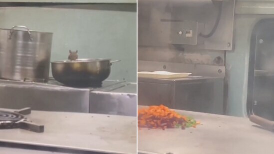The image shows a rat in the pantry of a train. (Instagram/@mangirish_tendulkar •)