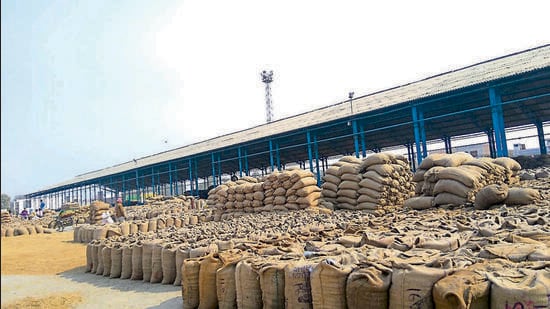 The central government is actively reviewing the minimum export price for basmati, says Union food secretary Sanjeev Chopra. (HT Archive)