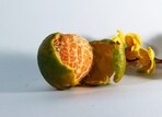 5_fruit_peels_for_glowing_skin