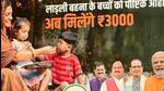 The BJP has put up hoardings all around the state highlighting the ‘nutritious food element’ related to the Ladli Behna scheme (HT Photo/Sourced)